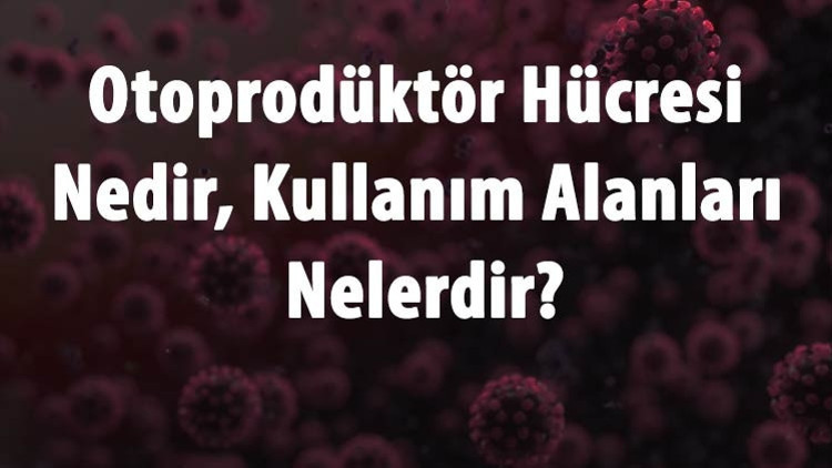 Otoprodüktör Hücresi Nedir, Ne İşe Yarar Ve Kullanım Alanları Nelerdir Otoprodüktör Hücresinin Çalışma Prensibi
