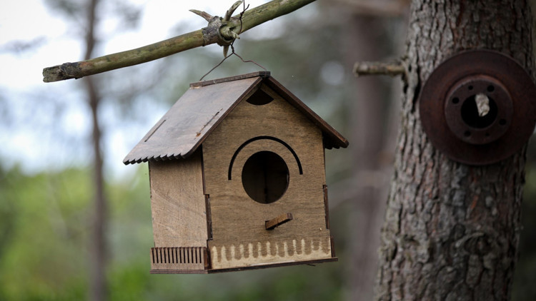 Kuş evi yapımı