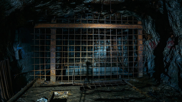 Dünya bu iddia ile çalkalanıyor Kan donduran deneyler...