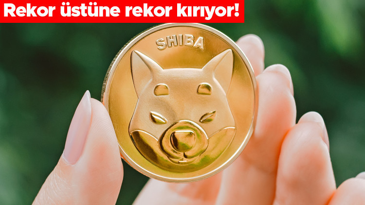 Son dakika... Shiba Inude rekor üstüne rekor