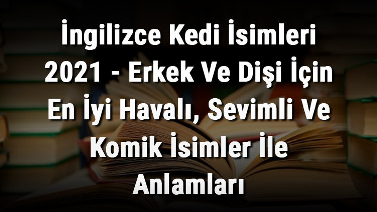 İngilizce Kedi İsimleri (GÜNCEL) - Erkek Ve Dişi İçin En İyi Havalı, Sevimli Ve Komik İsimler İle Anlamları