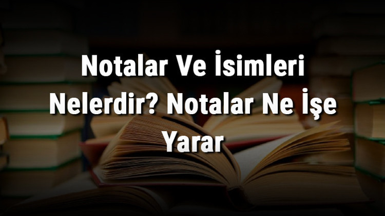 Notalar Rasmlar Notalar Ve İsimleri Nelerdir? Notalar Ne İşe Yarar - Hürriyet Aile