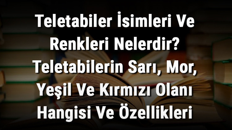 Teletabiler İsimleri Ve Renkleri Nelerdir? Teletabilerin Sarı, Mor, Yeşil Ve Kırmızı Olanı Hangisi Ve Özellikleri Nedir