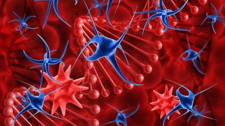 Kanda iltihap neden olur, zararları nelerdir Kanda iltihap nasıl temizlenir, tedavisi nasıl yapılır