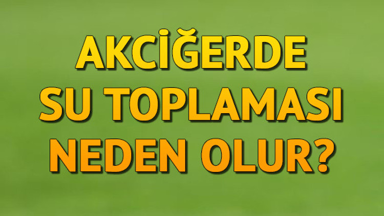 Akciğer Su Toplaması Neden Olur, Nasıl Anlaşılır Akciğer Su Toplamasına Hangi Bölüm Vakar Akciğer Su Toplaması Neden Olur, Nasıl Anlaşılır Akciğer Su Toplamasına Hangi Bölüm Vakar
