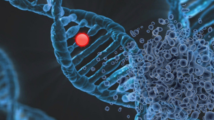Oxford Üniversitesinden ses getirecek araştırma: Bu gen Kovid-19dan ölüm riskini iki katına çıkarıyor
