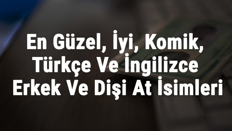 At İsimleri Ve Anlamları - En Güzel, İyi, Komik, Türkçe Ve İngilizce Erkek Ve Dişi At İsimleri