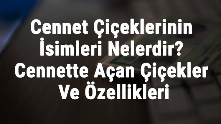 Cennet Çiçeklerinin İsimleri Nelerdir Cennette Açan Çiçekler Ve Özellikleri