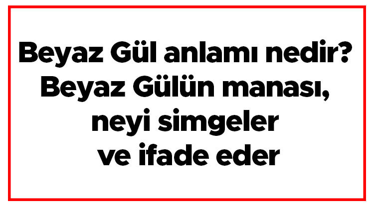 Beyaz Gül anlamı nedir Beyaz Gülün manası, neyi simgeler ve ifade eder