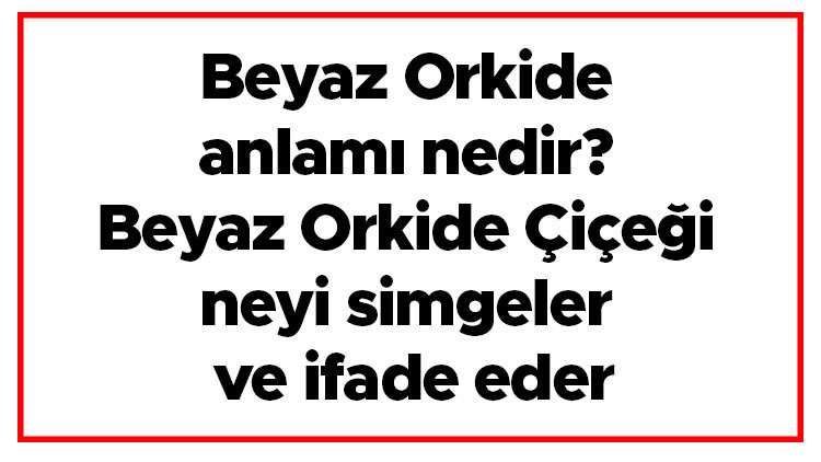 Beyaz Orkide anlamı nedir Beyaz Orkide Çiçeği neyi simgeler ve ifade eder