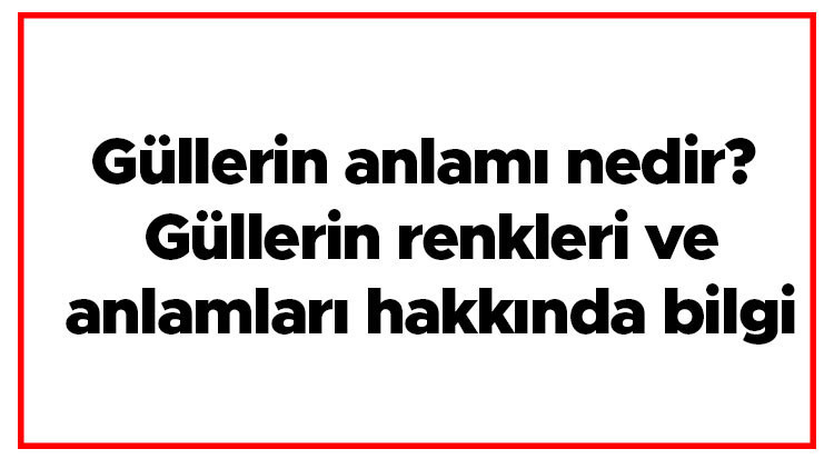 Güllerin anlamı nedir Güllerin renkleri ve anlamları hakkında bilgi