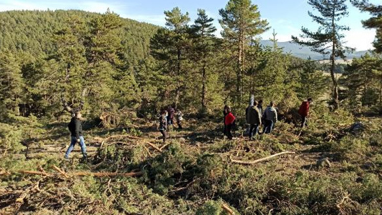 Ayman Yaylasına taş ocağı için ÇED gerekli değildir kararı Köylüler iş makinelerinin önünü kesti