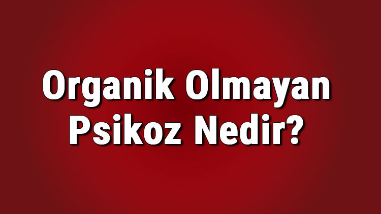Organik olmayan psikoz nedir, belirtileri nelerdir Tanısı ve tedavi uöntemleri..