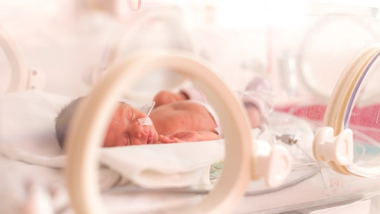 Prematüre bebek nedir, kaç kilo doğar? Prematüre bebek gelişimi ve özellikleri