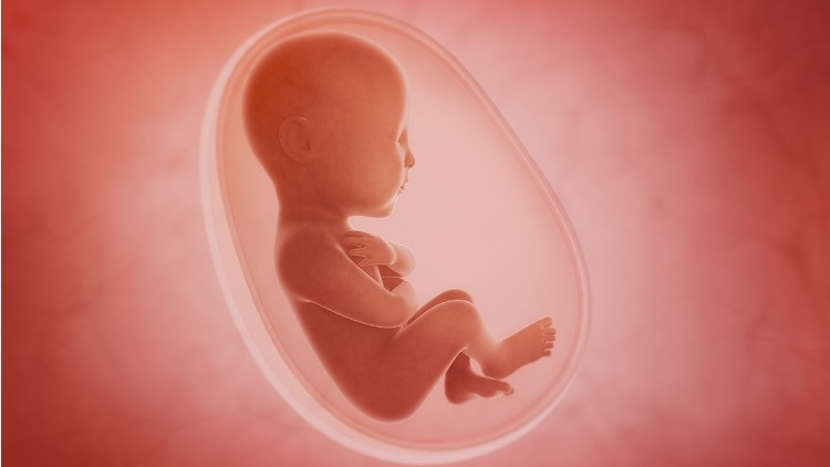 Oksiput posterior nedir, nasıl düzeltilir? Oksiput posterior belirtileri