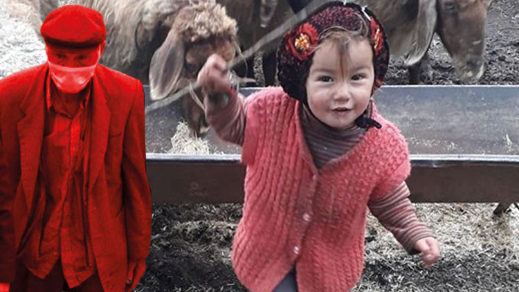 Müslüme’nin ölümüyle ilgili flaş gelişme Dedesi tutuklandı Müslüme’nin ölümüyle ilgili flaş gelişme Dedesi tutuklandı