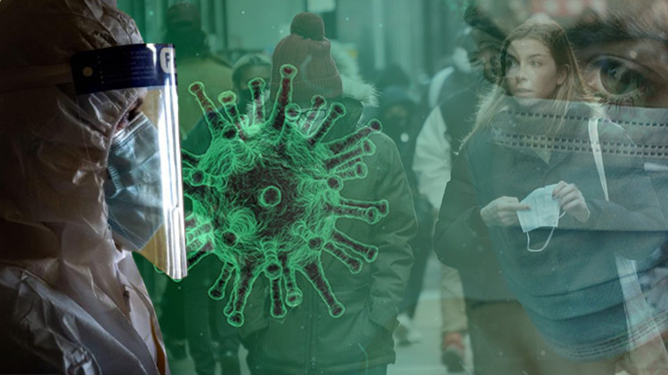 Yeni Kovid varyantı Omicron nasıl ortaya çıktı Uzmanlar üç teori üzerinde duruyor