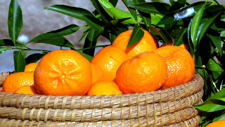 Kokusu mutfağı sarsın, rengi kalpleri ısıtsın... Kokusu mutfağı sarsın, rengi kalpleri ısıtsın...