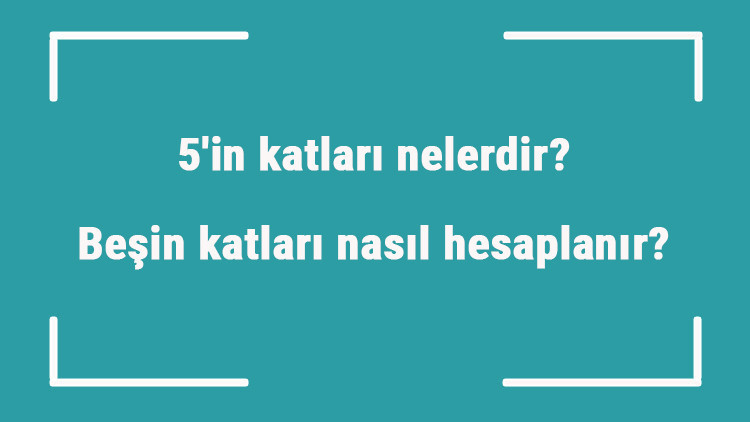 5in katları nelerdir Beşin katları nasıl hesaplanır