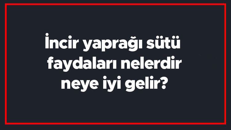 İncir yaprağı sütü faydaları nelerdir, neye iyi gelir İncir yaprağı sütü yüze uygulanır mı, siğile sürülür mü