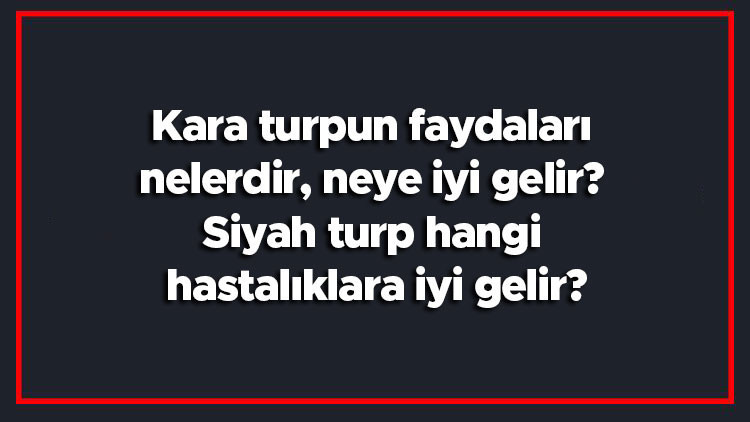 Kara turpun faydaları nelerdir, neye iyi gelir Siyah turp hangi hastalıklara iyi gelir Kara turpun faydaları nelerdir, neye iyi gelir Siyah turp hangi hastalıklara iyi gelir