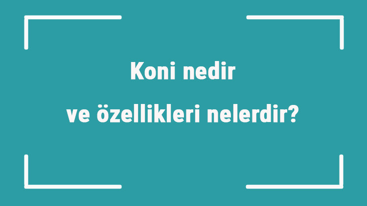 Koni nedir ve özellikleri nelerdir Kısaca koni konu anlatımı Koni nedir ve özellikleri nelerdir Kısaca koni konu anlatımı