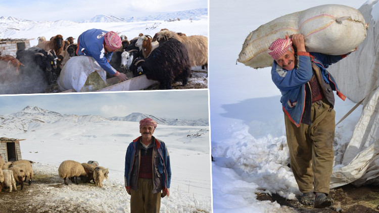 Şehir hayatından sıkıldı 4 yıldır eksi 30 derecede yaylada yaşıyor