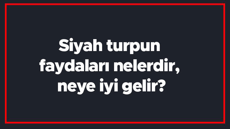 Siyah turpun faydaları nelerdir, neye iyi gelir Siyah turp hangi hastalıklara iyi gelir Siyah turpun faydaları nelerdir, neye iyi gelir Siyah turp hangi hastalıklara iyi gelir