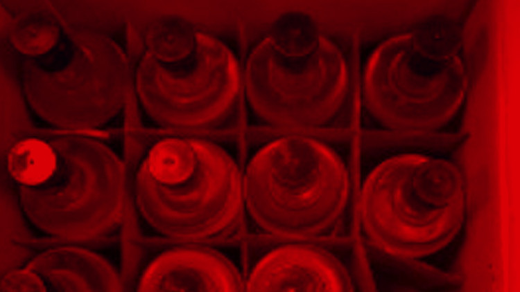 Sahte içki bir can daha aldı