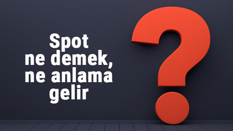Spot ne demek, ne anlama gelir Spot kelimesinin TDK sözlük anlamı
