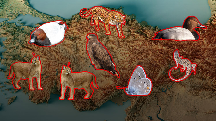 Ve kanıtlandı Hâlâ aramızdalar…