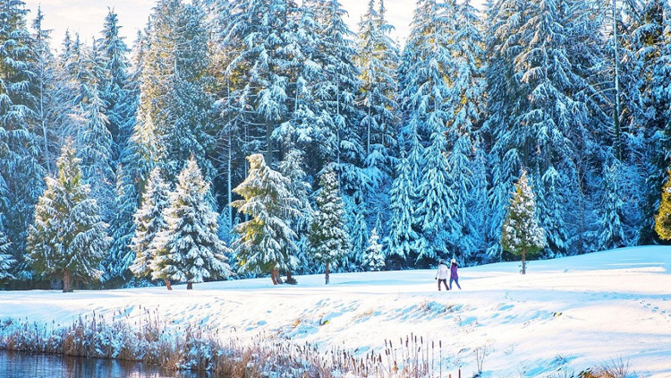 En güzel kış aktivitesi: Karda yürüyüş… | 6 ŞEHİR 10 ROTA