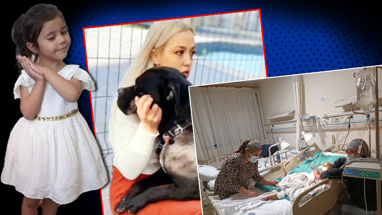 Pitbull saldırısına ilişkin görüntülerin bir kısmı silinmiş Asiye Ateşten ilk kare