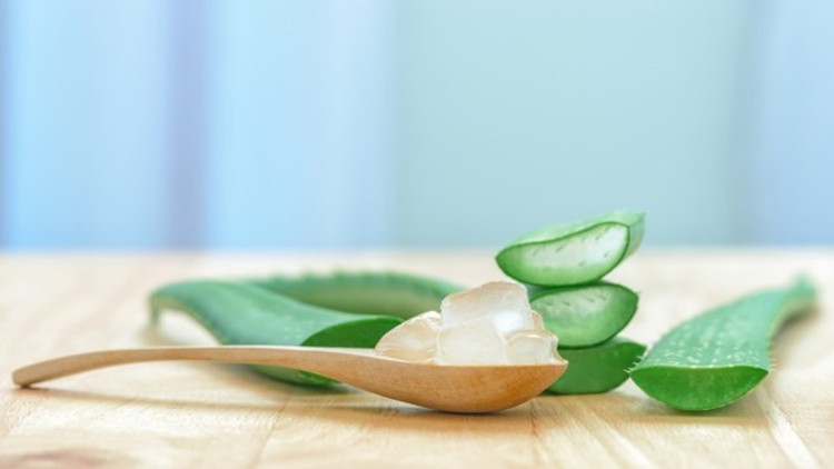 aloe vera gegen aphten Reiner Bio Aloe Vera Saft
