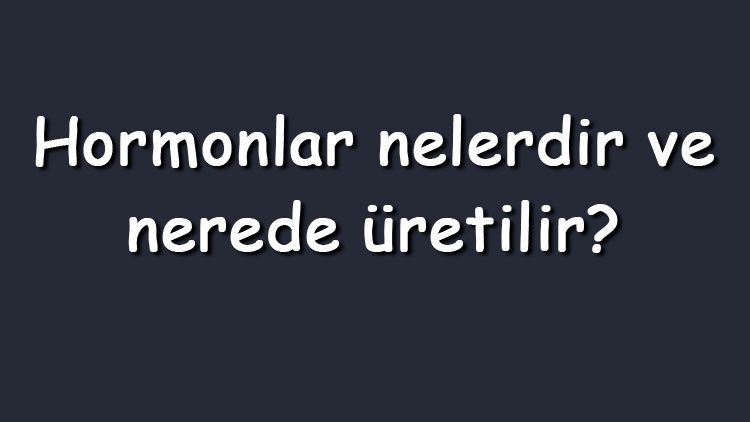 Hormonlar nelerdir ve nerede üretilir Vücutta salgılanan hormonlar ve görevleri