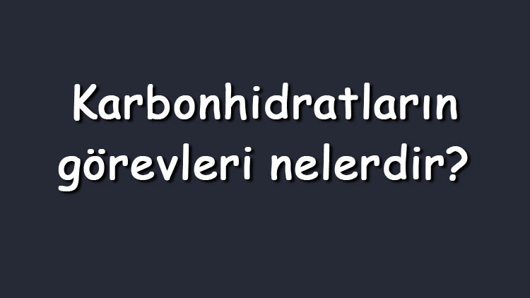 Karbonhidratların görevleri nelerdir Maddeler halinde vücuttaki, hücre zarındaki ve hücre dışındaki karbonhidratların görevleri Karbonhidratların görevleri nelerdir Maddeler halinde vücuttaki, hücre zarındaki ve hücre dışındaki karbonhidratların görevleri