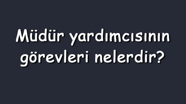 Müdür yardımcısının görevleri ve sorumlulukları nelerdir Müdür yardımcısının yapacağı işlemler Müdür yardımcısının görevleri ve sorumlulukları nelerdir Müdür yardımcısının yapacağı işlemler