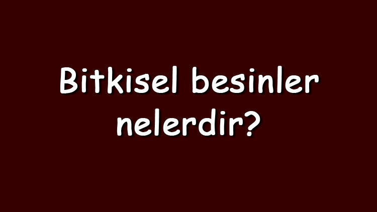 Bitkisel besinler nelerdir ve vitamin yönünden zengin midir