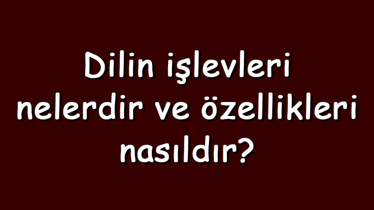 Dilin işlevleri nelerdir ve özellikleri nasıldır Örnekleri ile dilin işlevleri konu anlatımı Dilin işlevleri nelerdir ve özellikleri nasıldır Örnekleri ile dilin işlevleri konu anlatımı