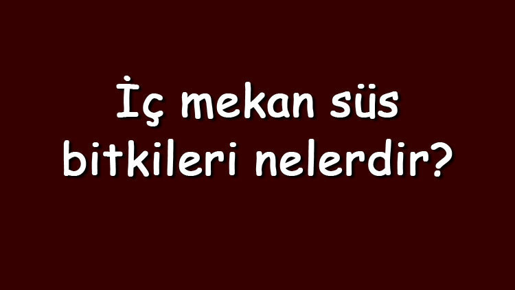 İç mekan süs bitkileri nelerdir İç mekan süs bitkilerinin isimleri ve özellikleri İç mekan süs bitkileri nelerdir İç mekan süs bitkilerinin isimleri ve özellikleri