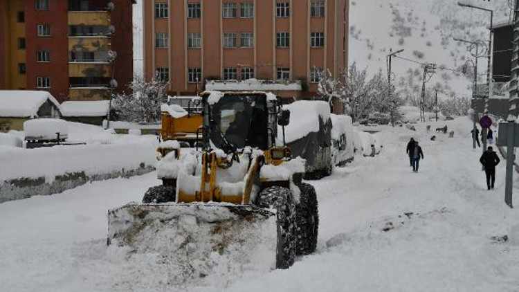 Beytüşşebapta hayat normale döndü