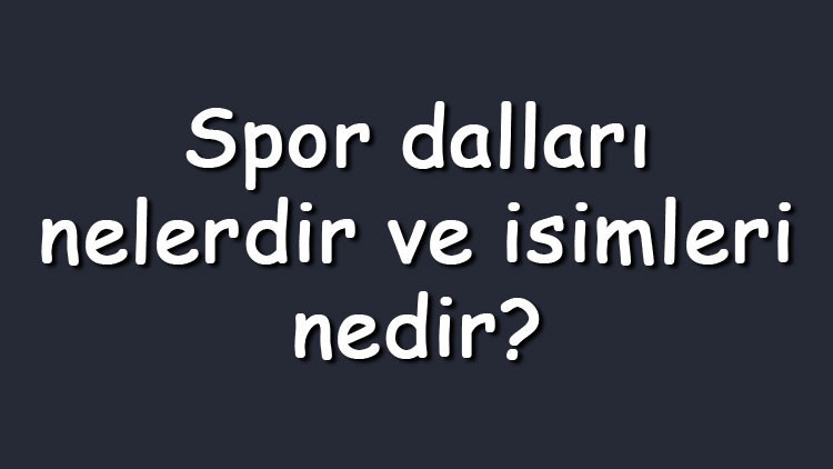Spor dalları nelerdir ve isimleri nedir Az bilinen, olimpik, ekstrem ve geleneksel sporlar Spor dalları nelerdir ve isimleri nedir Az bilinen, olimpik, ekstrem ve geleneksel sporlar