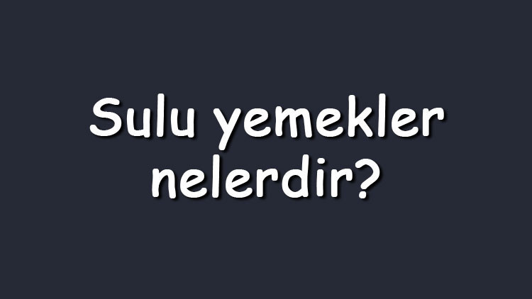 Sulu yemekler nelerdir Etli ve etsiz sulu yemek çeşitleri listesi ve isimleri Sulu yemekler nelerdir Etli ve etsiz sulu yemek çeşitleri listesi ve isimleri