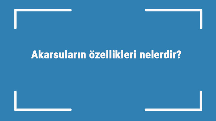 Akarsuların özellikleri nelerdir Türkiyenin akarsuları ve temel işlevleri