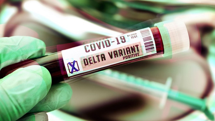 Geri gelir mi Pusuda bekleyen tehlike Delta Kendini yer altına attı...