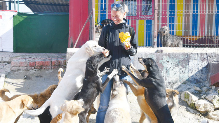 Kurtaran Ev’in melekleri Kurtaran Ev’in melekleri