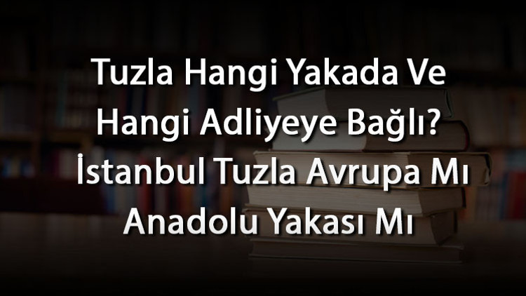 Tuzla Hangi Yakada Ve Hangi Adliyeye Bağlı İstanbul Tuzla Avrupa Mı Anadolu Yakası Mı