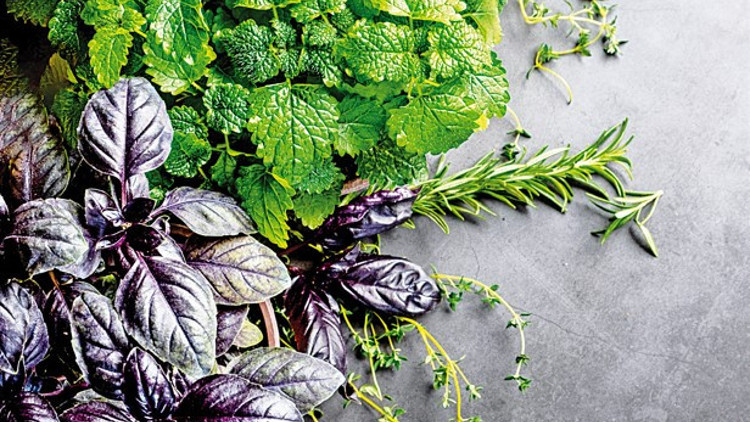 Aroma kazandırıyor, tazelik katıyor...