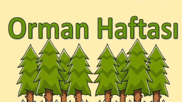 Orman Haftası ne zaman Orman Haftası mesajları Orman Haftası ne zaman Orman Haftası mesajları
