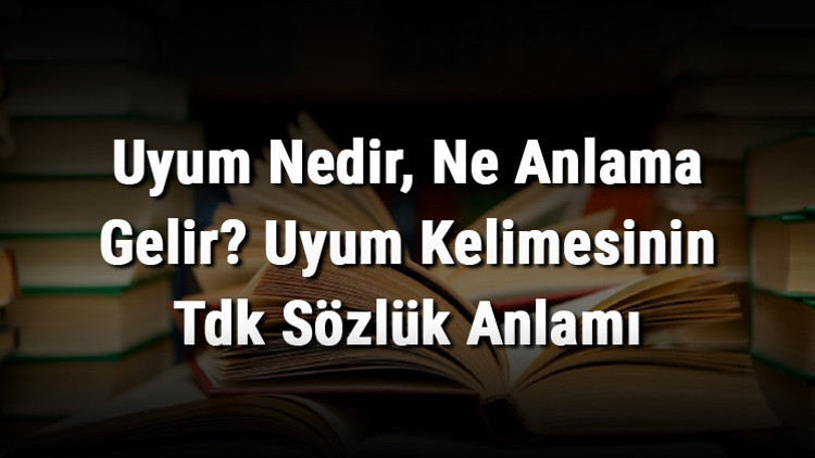 Uyum Nedir, Ne Anlama Gelir Uyum Kelimesinin Tdk Sözlük Anlamı